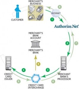 payment-timeline