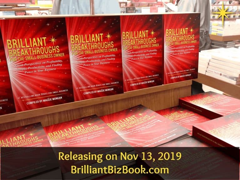 rsz 15brilliantbizbook launch day